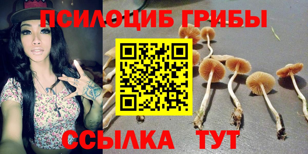 Галлюциногенные грибы GOLDEN TEACHER Уссурийск
